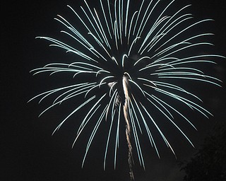 Image of a firework from the Independence Day fireworks in Youngstown. Display by the City of Youngstown and Colonial Fireworks. Image by Katie Libecco/The Vindicator.