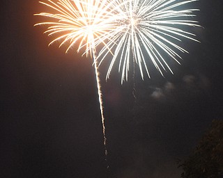 Image of a firework from the Independence Day fireworks in Youngstown. Display by the City of Youngstown and Colonial Fireworks. Image by Katie Libecco/The Vindicator.