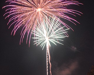 Image of a firework from the Independence Day fireworks in Youngstown. Display by the City of Youngstown and Colonial Fireworks. Image by Katie Libecco/The Vindicator.