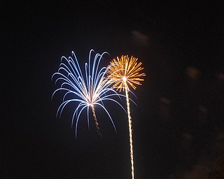 Image of a firework from the Independence Day fireworks in Youngstown. Display by the City of Youngstown and Colonial Fireworks. Image by Katie Libecco/The Vindicator.