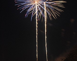 Image of a firework from the Independence Day fireworks in Youngstown. Display by the City of Youngstown and Colonial Fireworks. Image by Katie Libecco/The Vindicator.