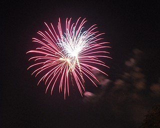 Image of a firework from the Independence Day fireworks in Youngstown. Display by the City of Youngstown and Colonial Fireworks. Image by Katie Libecco/The Vindicator.