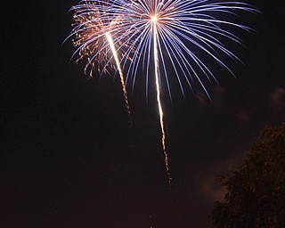 Image of a firework from the Independence Day fireworks in Youngstown. Display by the City of Youngstown and Colonial Fireworks. Image by Katie Libecco/The Vindicator.