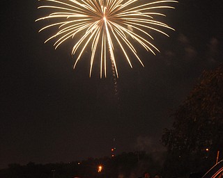 Image of a firework from the Independence Day fireworks in Youngstown. Display by the City of Youngstown and Colonial Fireworks. Image by Katie Libecco/The Vindicator.