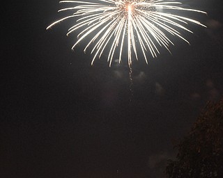Image of a firework from the Independence Day fireworks in Youngstown. Display by the City of Youngstown and Colonial Fireworks. Image by Katie Libecco/The Vindicator.