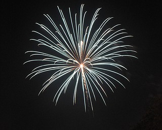 Image of a firework from the Independence Day fireworks in Youngstown. Display by the City of Youngstown and Colonial Fireworks. Image by Katie Libecco/The Vindicator.