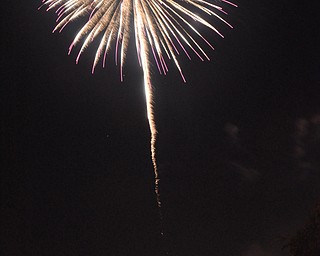 Image of a firework from the Independence Day fireworks in Youngstown. Display by the City of Youngstown and Colonial Fireworks. Image by Katie Libecco/The Vindicator.