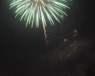Image of a firework from the Independence Day fireworks in Youngstown. Display by the City of Youngstown and Colonial Fireworks. Image by Katie Libecco/The Vindicator.