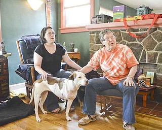 North Side neighbors Gretchen Brown, left, and L.J. 'Tess' Tessier are part of a group who rescued Billie Jean, a year-old mixed-breed stray. Billie Jean, who’d been shot and had to have a leg amputated, is ready for a permanent home.