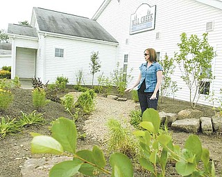 Kirsten Peetz, Mill Creek MetroParks environmental-land manager, talks about the new rain garden installed at the MetroParks Farm in Canfield. The garden, paid for by a grant, will absorb rainwater runoff and act as an educational tool.