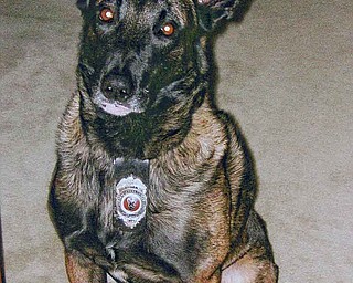 Yuma, a K-9 officer with Boardman police for eight years, will retire from the force Aug. 26.