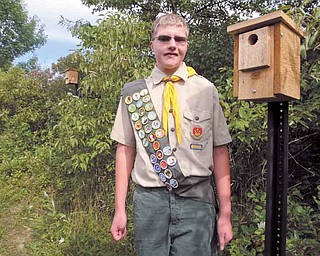 Boy Scout Troop No. 115 member Zane Welch stands next to a blue bird box he built as part of his Eagle Scout project. Welch created the Environmental Learning Center, which includes a mulch trail and several nesting boxes for owls, birds and bats in the Austintown Local School Wetlands next to the district’s middle school.