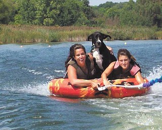 Rachel Shrilla, left, and Shelby Ludt enjoy a day of tubing at the lake. Oliver seems to enjoy it as well! Photo submitted by Paula Ludt of Poland.