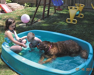 Madison, 7, and William, 2, and their dog, Ben, are enjoying an afternoon in the water. They are the children of Bill and Amy Croake of Boardman.