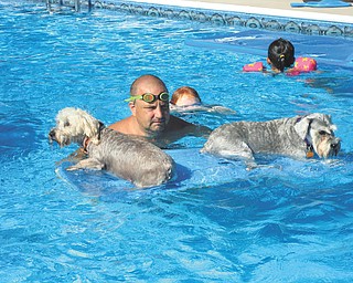 Norma Remias of Canfield sent this picture is of Bailey and Daisey enjoying a ride on a raft in the pool along with their owner Bryan.