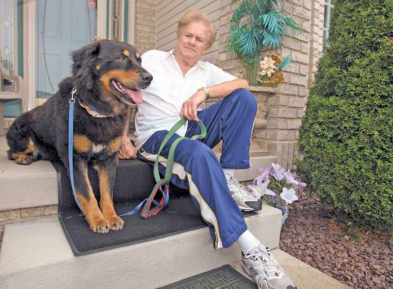 Gene Malovec of Boardman sits with Bear, a 2-year-old dog he found dodging traffi c on Southern Boulevard in June. Malovec said he wants to fi nd the dog’s original owner or a new owner because he isn’t in a position to keep him long-term.