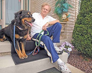 Gene Malovec of Boardman sits with Bear, a 2-year-old dog he found dodging traffi c on Southern Boulevard in June. Malovec said he wants to fi nd the dog’s original owner or a new owner because he isn’t in a position to keep him long-term.