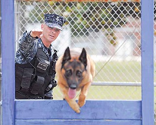 In this April 28, 2011 photo provided by the U.S. Navy, Master-At-Arms First Class (EXM) Kris Thompson, of Saginaw, Mich., puts Marco, a Belgian Malinois, through a training exercise on board Naval Air Station Pensacola, in Pensacola, Fla. Thompson, the kennel master at the air station, has used the Navy Credentialing Opportunities Online (COOL) program to help him prepare for civilian life after serving in the United States Navy. (AP Photo/U.S. Navy, Gary Nichols)