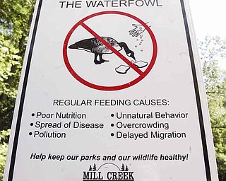 Mill Creek MetroParks staff recently erected several “Do Not Feed” signs at the Lily Pond. These signs let visitors know that regular feeding of ducks and geese causes pollution, poor nutrition and overcrowding, among other things. It’s also against park policy.