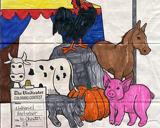 Hoelscher, Nathaniel