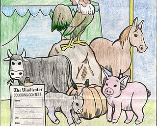 Whitfield, Gabriella