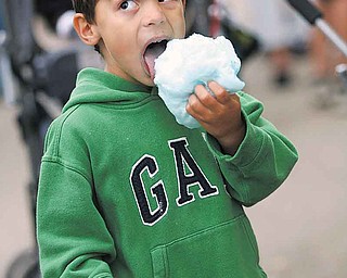 Perry Velisaris, 4, of Pittsburgh doesn’t hold back as he gets as much cotton candy into his mouth as possible. Perry enjoyed Labor Day at the Canfield Fair.