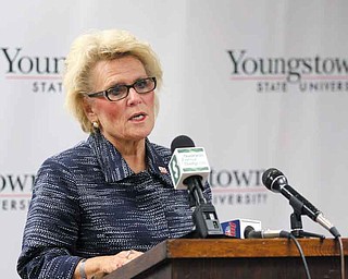 Youngstown State University President Cynthia Anderson told guests at a gathering to unveil the new solar-panel system that the university is committed to partnering with local businesses and industry.