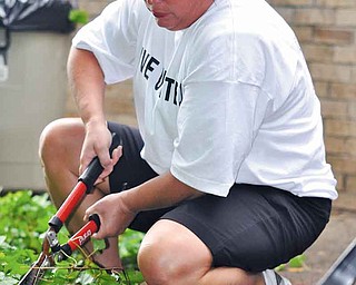 Shelly LaBerto of Boardman, a volunteer with the Youngstown State University Alumni Society, helps clean up the landscape behind the playground at the Youngstown Easter Seals office on Edwards Street as part of the United Way’s Day of Caring. She was one of about 500 volunteers who took part in volunteer work for 35 nonprofit groups in the Valley on Friday.