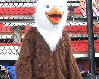 FOOTBALL -YCS Saturday afternoon in Canfield. - Special to The Vindicator/Nick Mays