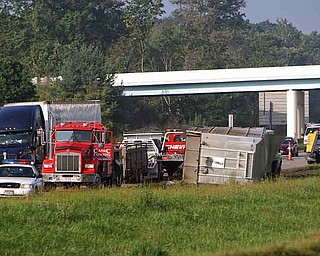 Hubbard Township police and fire and the Ohio State Highway Patrol work to clear cattle carcasses and a cattle trailer from eastbound Interstate 80 just east of the Bell Wick Road overpass. The driver lost control of the trailer early Monday after, he told police, the cows shifted weight in the back of the truck. There were approximately 24 steers in the trailer, officials said.
