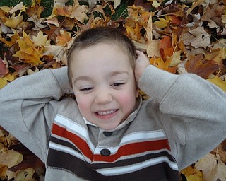 Patrick Dell of Austintown relaxes on his “bed” of leaves. Photo submitted by his mother, Tricia Dell.