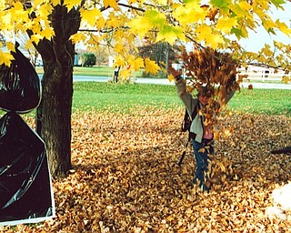 Lana Vannauker of Canfield sent in this photo of Leanna Hartsourgh playing in the leaves Ellsworth.