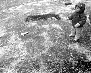 01/17/91 - Doug Oster.YSU parade surrounded by confetti is Zachary Morse, 2, of Austintown. He was watching the parade on Boardman St. He is the son of Jack and Javice Morse.