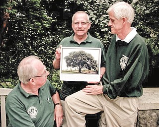 SPECIAL TO THE VINDICATOR: Pictured, from left, are members of the Men’s Garden Club of Youngstown Robert McGowan, treasurer; Dan Burns, president; and Lynn Hoffmann, chairman of the club’s American Elm Tree Committee. The MGCY and Mill Creek MetroParks are co-sponsoring a tree seminar on Oct. 15 at the MetroParks Farm.