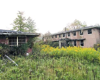 The former Trumbull County Nursing Home is overgrown and abandoned — the perfect place for Matt Adkins and Chris Rosier of Laythrom Media to shoot their first full-length feature film, which is a psychological drama, according to Adkins.