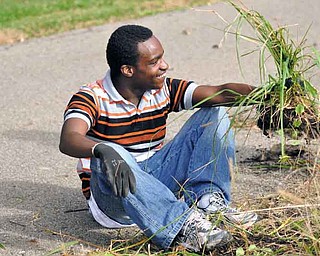 James Spikes sits down to weed at Austintown Community Park. Fitch High School students helping on the site are in a functional life-skills and academic curriculum.