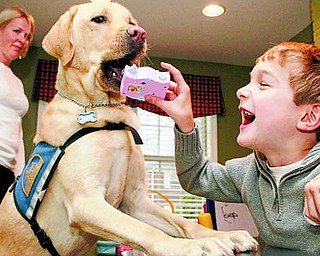 Page Murphy, of Mariemont, looks on as Crisp the dog picks up a toy for Mason Murphy, 8, at their home in Mariemont, Ohio. Crisp, a Labrador-golden mix, assists Mason who has cerebral palsy.