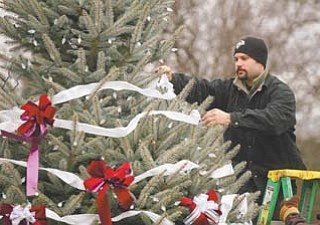 Gabe Manginelli, a Boardman Park groundskeeper, helps decorate the Boardman community Christmas tree, a Fat Albert Colorado Blue Spruce. The official lighting of the tree will be Sunday.