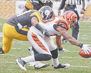 Cincinnati Bengals' Brandon Tate, right, fumbles a kickoff as Pittsburgh Steelers' Curtis Brown pursues in the second quarter of a game in Pittsburgh on Sunday. The Steelers recovered the fumble.