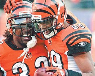 Cincinnati Bengals wide receivers Jerome Simpson (89) and Cedric Benson celebrate after Simpson somersaulted over Arizona Cardinals LB Daryl Washington for a fi rst-half touchdown in Saturday’s game in Cincinnati. The aerial feat surprised teammates, fans and Simpson.