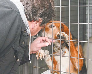 Trumbull County Dog Warden Tony Frandanisa shows affection to a blind dog in one of the new outside cages at the Trumbull County Dog Kennel. The facility has improved its outdoor cages over the past year, and now it hopes to provide a fenced outdoor area where dogs can run and exercise.