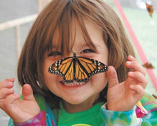 Ella Nagy, now 5, was 4 when her mom, Colleen Nagy, took this picture in the butterfly tent at the 2011 Canfield Fair.