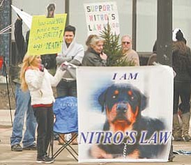 Demonstrators rally in downtown Youngstown in support of House Bill 108, also called “Nitro’s Law.” The rally Wednesday came at the same time Steven Croley of Austintown was in court for a probation-violation hearing.