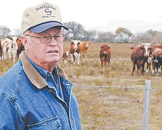 Rancher Dallas Ford talks about his cattle in Tivoli, Texas. Ford has put in new fencing to keep his cattle in separate fields to prevent them from chewing the grass too far down and force them to drink out of strategically located troughs.