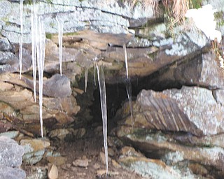 Autumn Feo snapped this photo when she and her mom went for a nature walk in East Palestine.