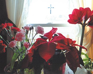 Mary Cavanaugh of Columbiana says, "God even provides beautiful red flowers in the winter for us to enjoy."