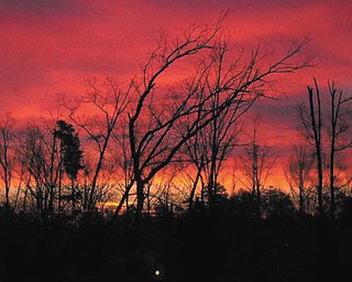 This sunrise in Chapel Hill, N.C., in February 2005 was submitted by Bridgit Frost.