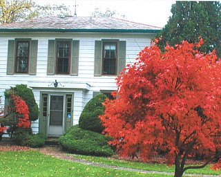 This tree in Canfield sports some bright red leaves. Photo from Lana VanAuker of Canfield.
