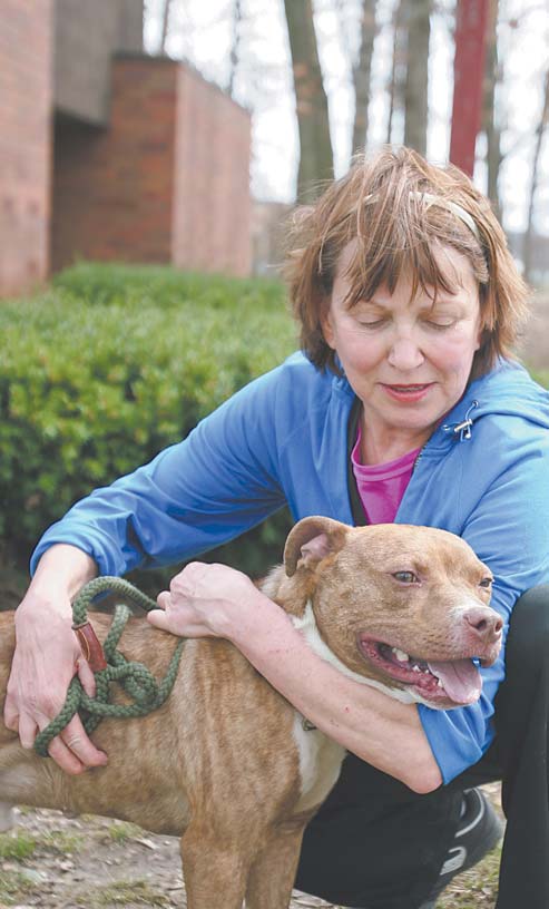 Maggie Koval of Youngstown cuddles with Neptune, one of the dogs at the Mahoning County Dog Pound. Koval is one of the volunteers who walk the pound’s pups, providing exercise and fresh air for the animals.