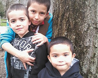 Olga Gerardino sent in this photo of her little men enjoying Boardman Park before breakfast at the festival.